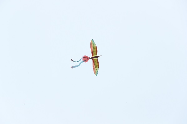 BD1I8377.jpg