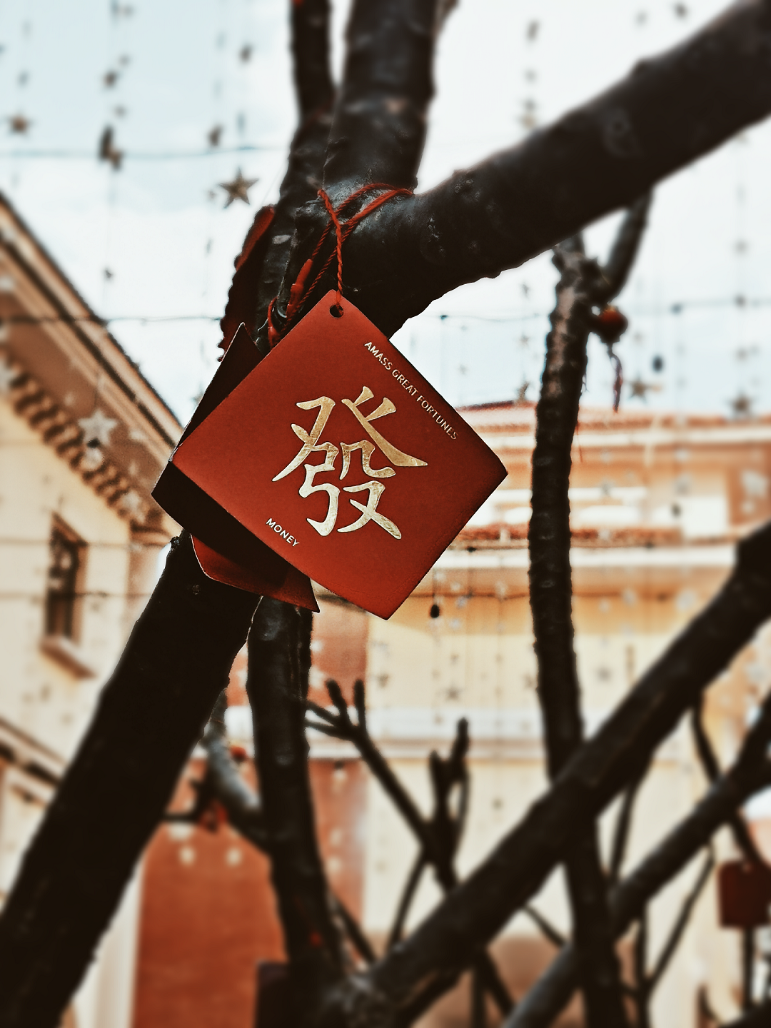 摄影.png