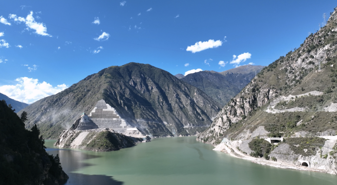 1763359797448031161.png 640 (2).png