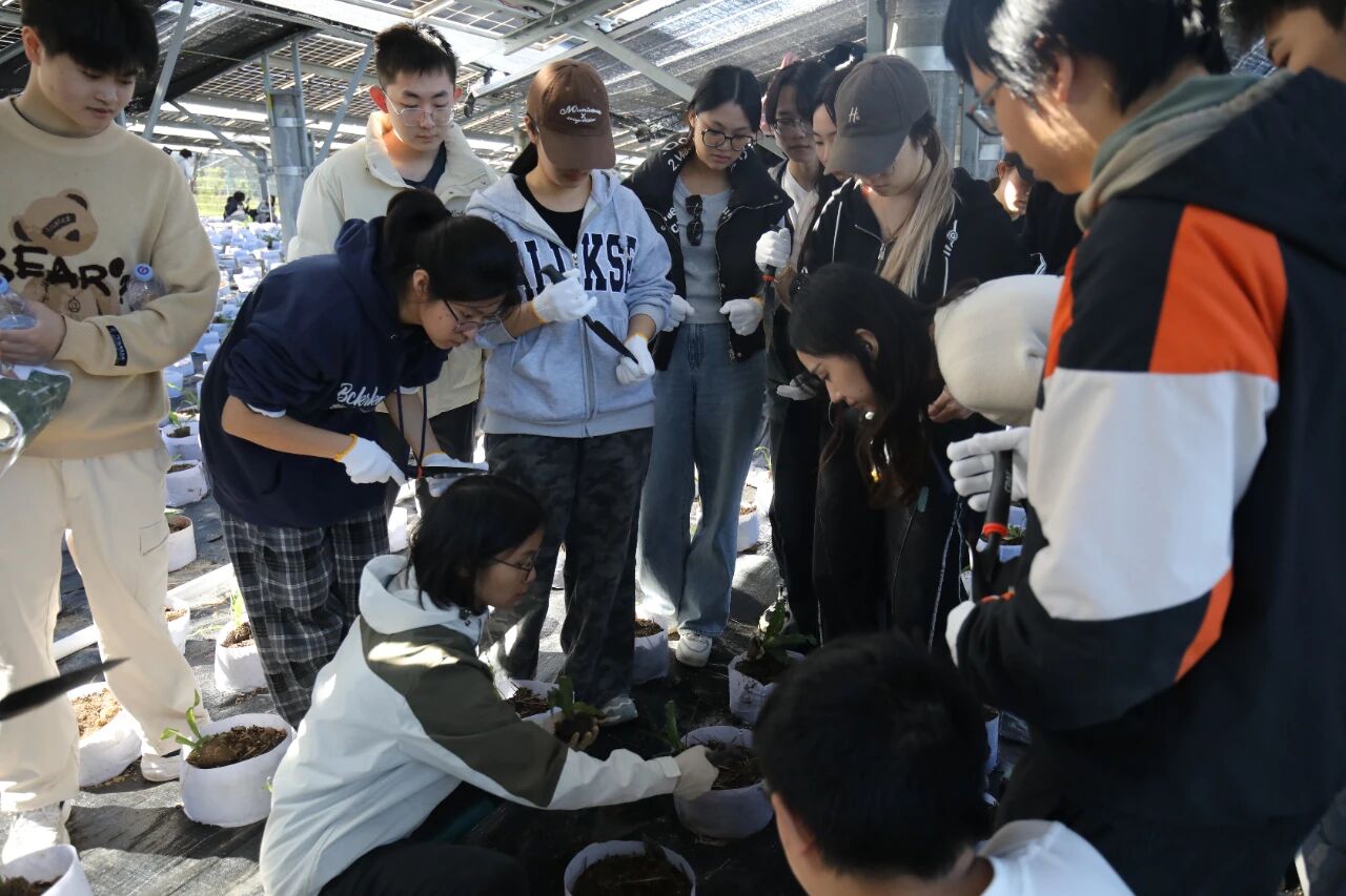 1764748947576080933.jpg 微信图片_2025-12-03_160207_875.jpg