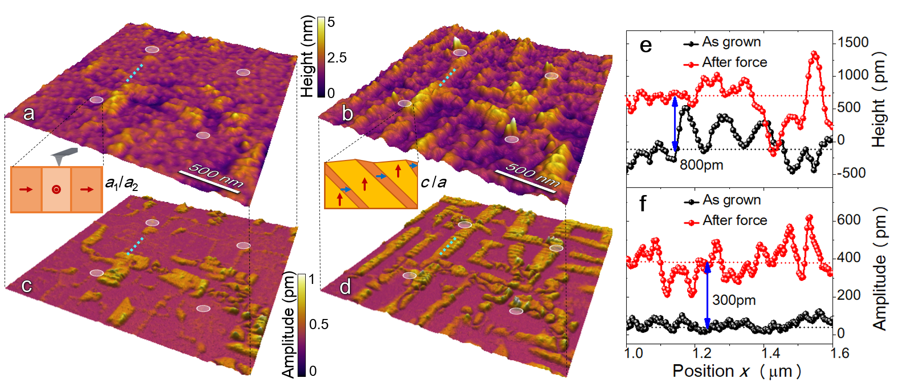 1567559069547077247.png 1.png