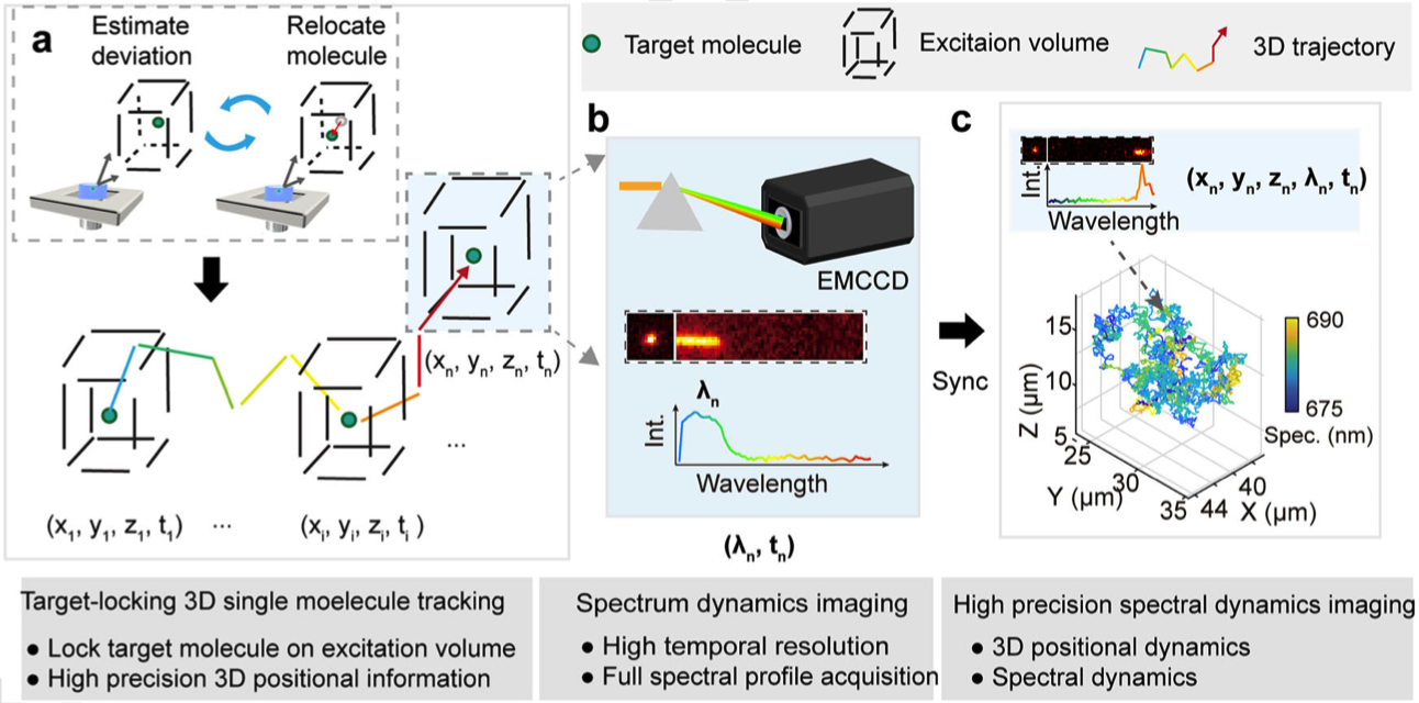 1760683682059097646.png 416836_0fbe1435-ebf7-40e5-94cc-a4a90019e0e3copy.png