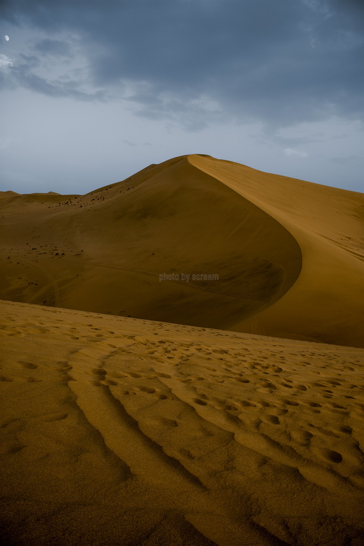 _DSC2023 - 副本.jpg