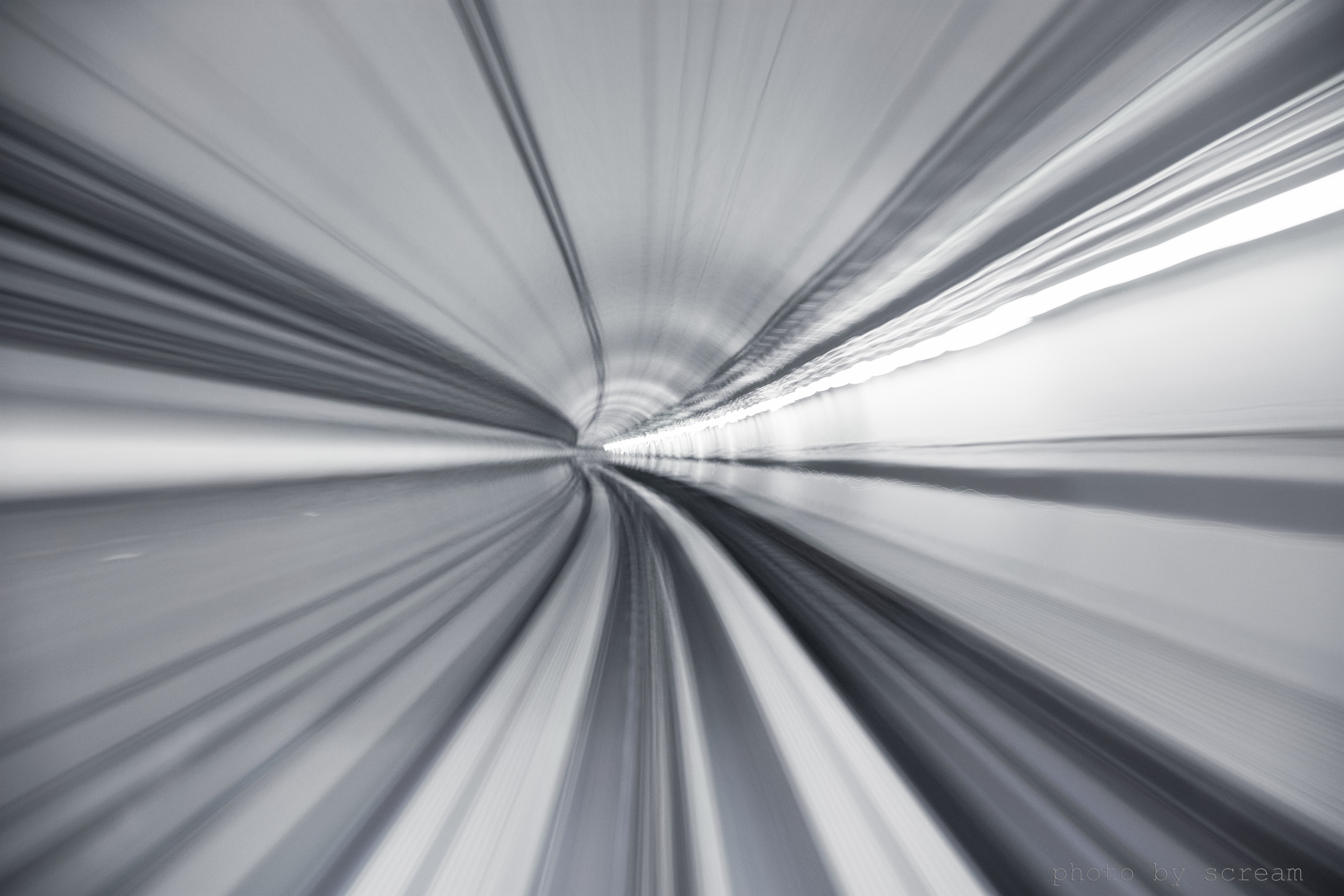 _DSC8955 - 副本.jpg