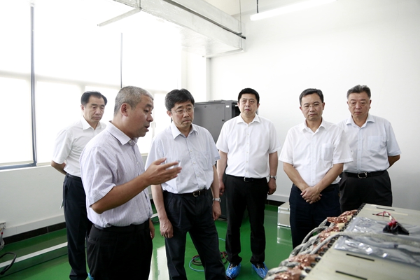 1500653454036089569.jpg 2_副本.jpg