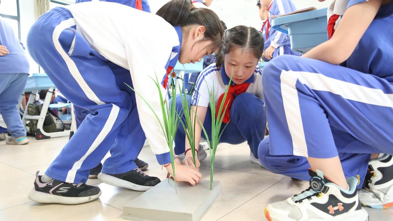 1744531293205083832.jpg 3.jpg