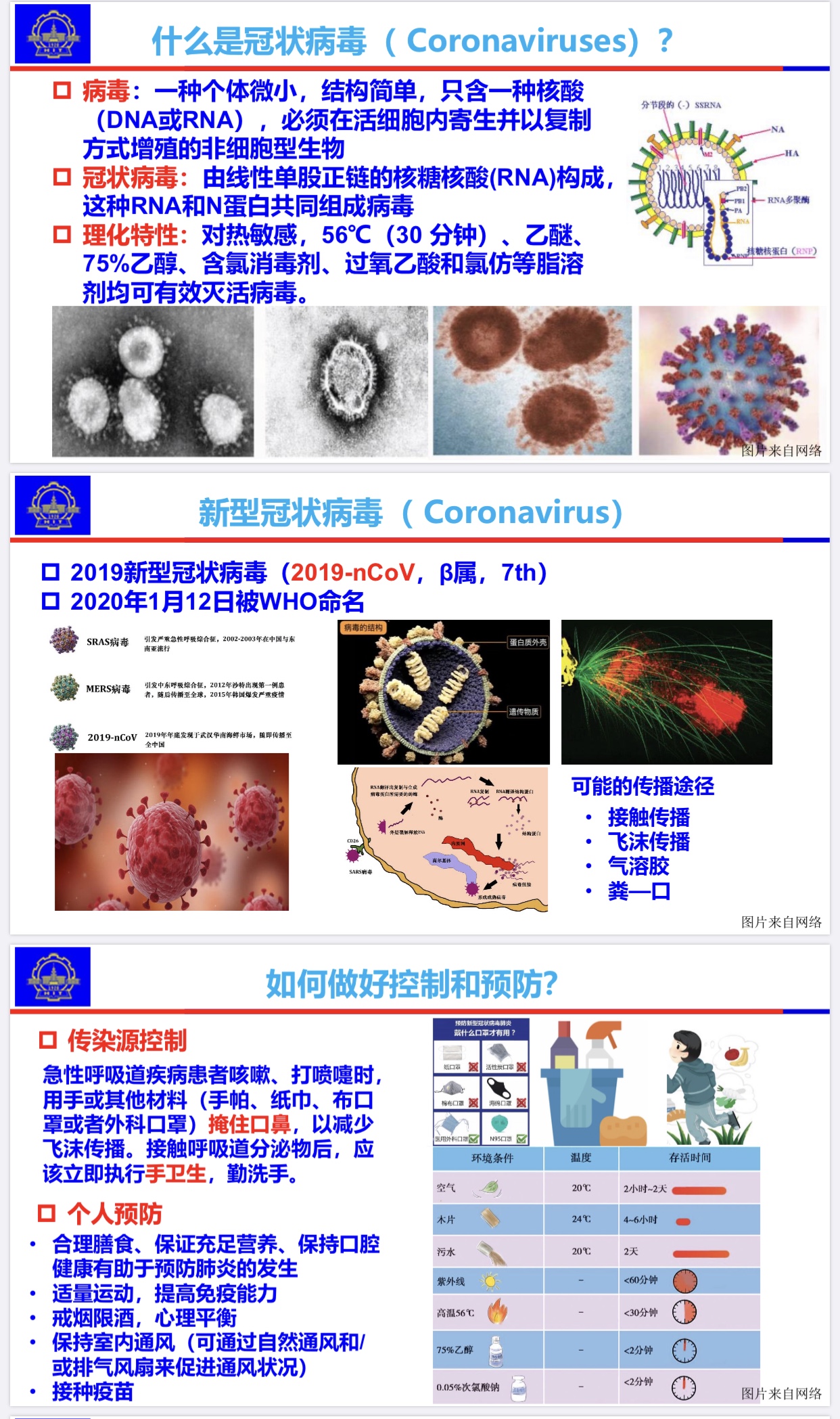 1588237728140078057.jpg 1.jpg