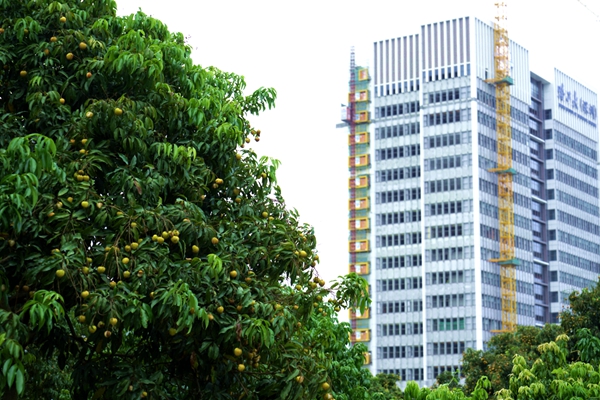 1528099899429004324.jpg _DSC1927_副本.jpg