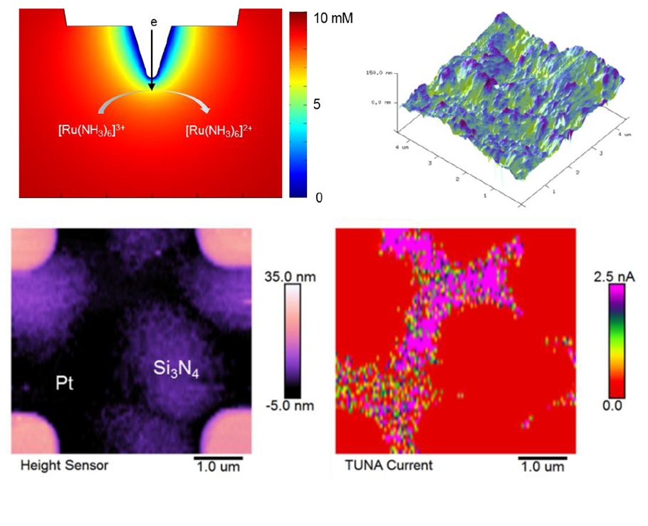 1524907315300083056.jpg 讲座照片.jpg
