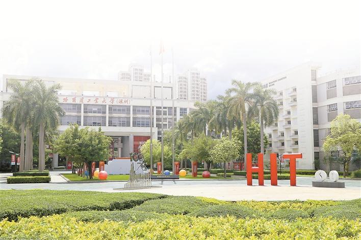 1669343413057092772.jpg 1.jpg