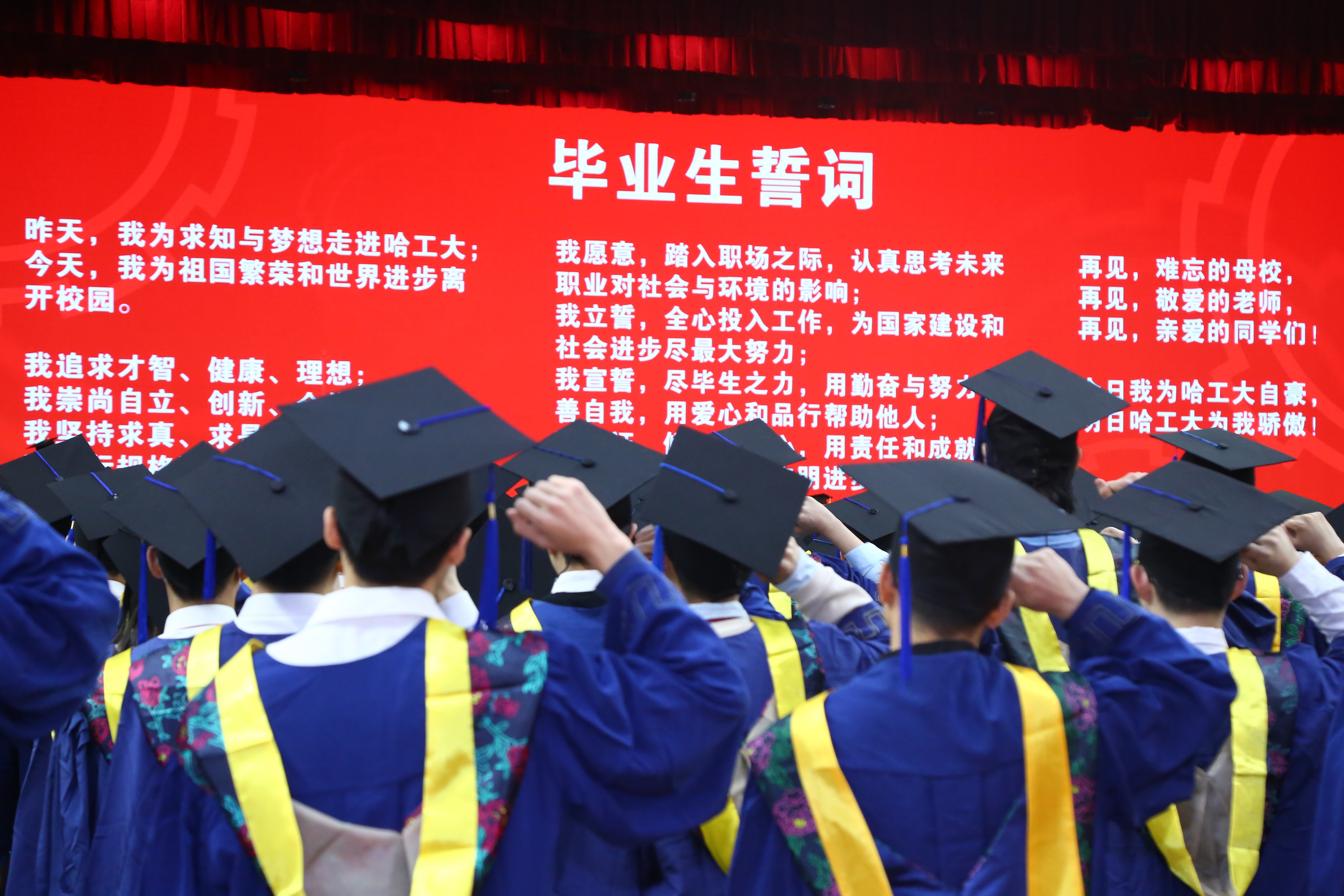 1640767293945044357.jpg 宣誓1.jpg