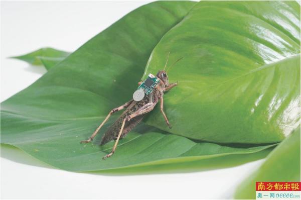 NA04_NA04_0372@600_398 (1).jpg