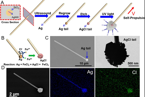 1536196700279028470.jpg 1100_副本.jpg