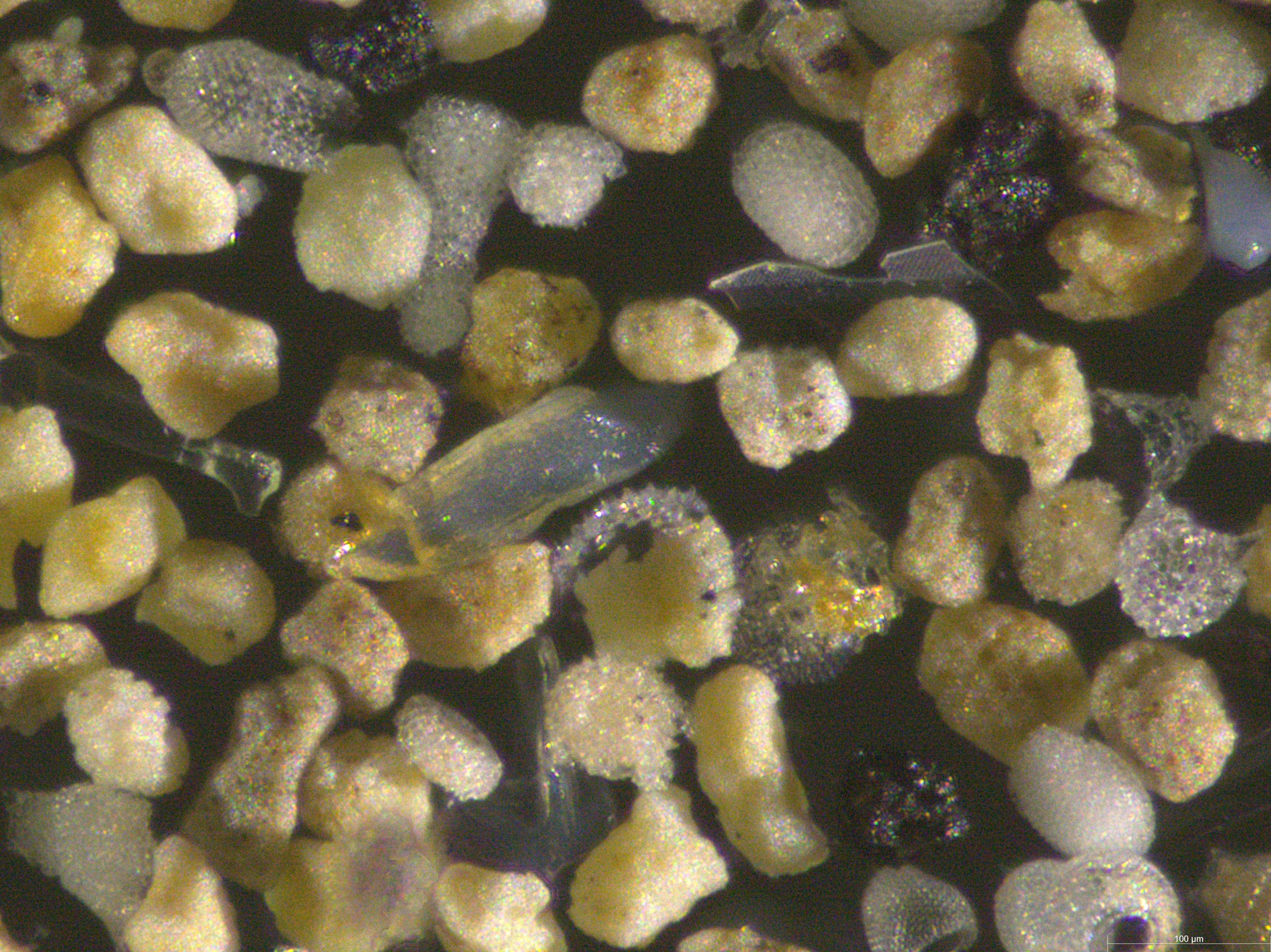 图3    0.075到0.063毫米洋泥颗粒的立体彩色照片.jpg