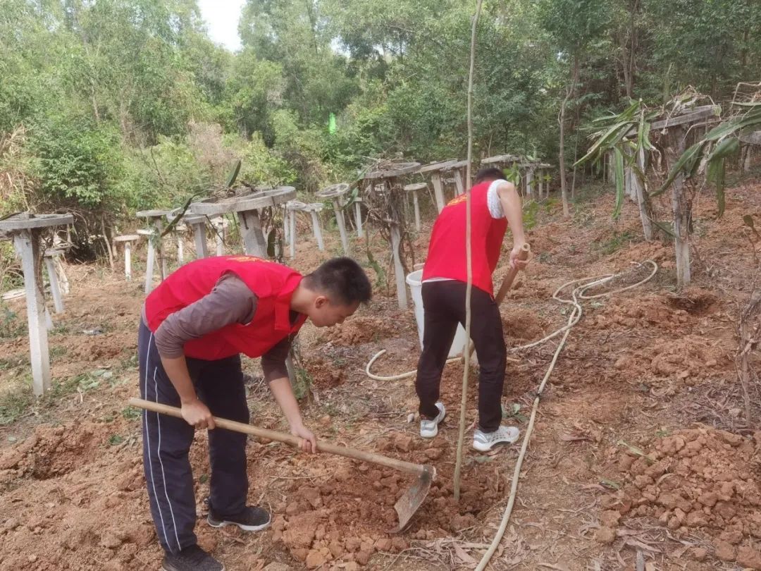 1614943814738050183.jpg 2.jpg