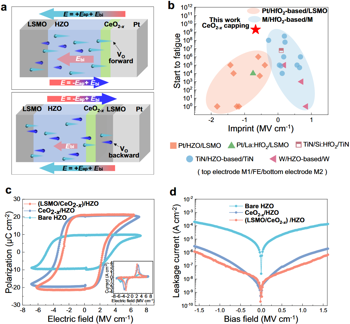 1756716028503050736.png ed523677-65d8-4a97-ae2d-ce33ea5a03b1.png
