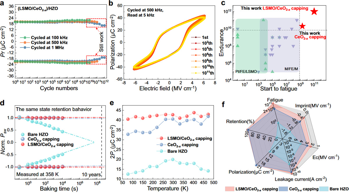1756715989077039953.jpeg 7834fd43-98df-413b-a264-62d1f61ed819.png.jpeg