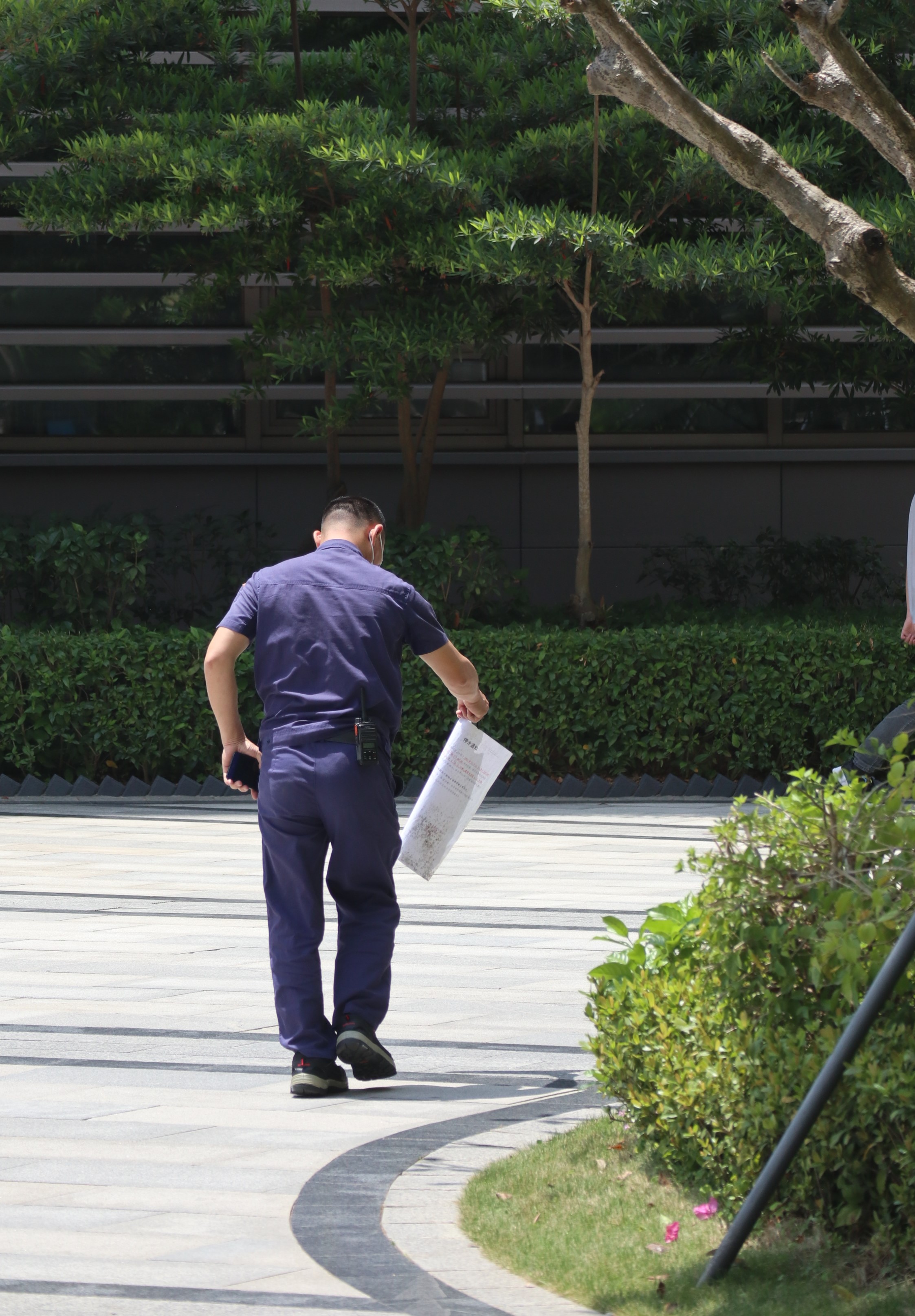 1651409898312080649.jpg IMG_1825.jpg