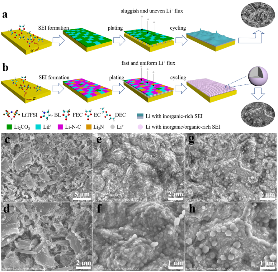 1665837014722006370.png 2.png