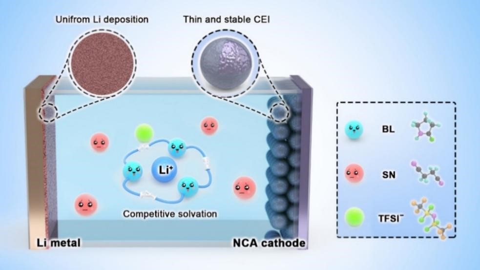 1665837087460099485.jpg 3.jpg