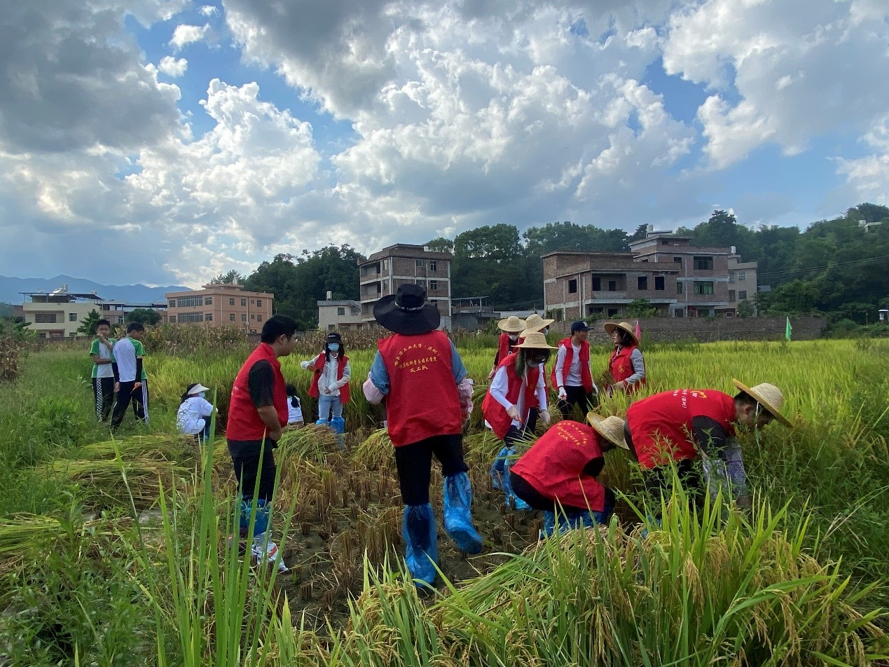 1692697311691079795.png 图片4.png