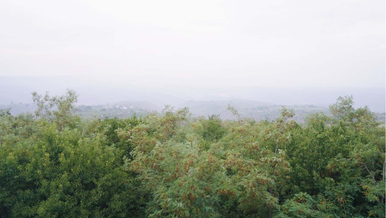 图九 曾经的“黄土高原”观景点.jpg