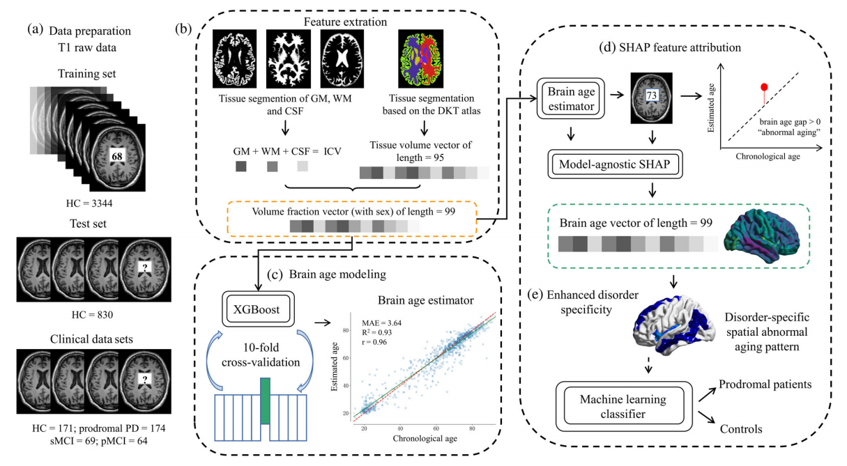 1677205501960009481.png 2.png