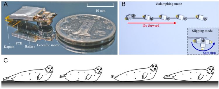 1717121855657032755.png 1.png