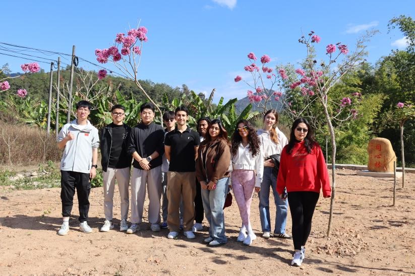 1766711414797012981.jpg 5.jpg