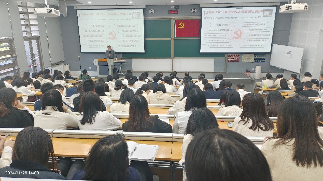 1733273498216011801.jpg 2.jpg