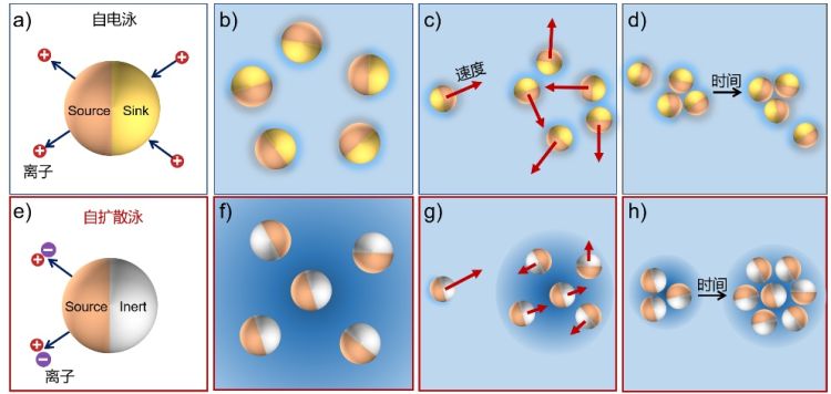 1650033940384015363.jpg 微信图片_20220415224501.jpg