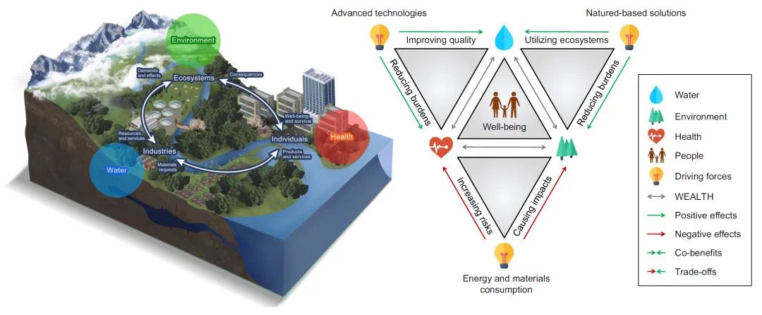 1740381851036019229.jpeg 4.jpeg