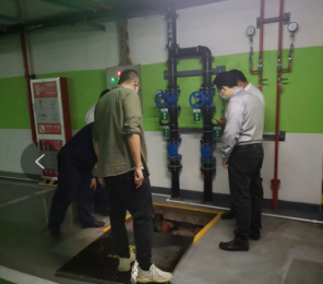 1652443152371077548.png 2.png