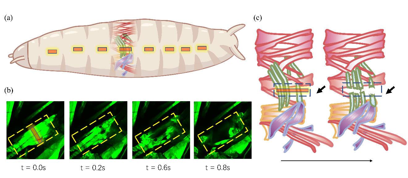 1748704946523021361.jpg 9.jpg