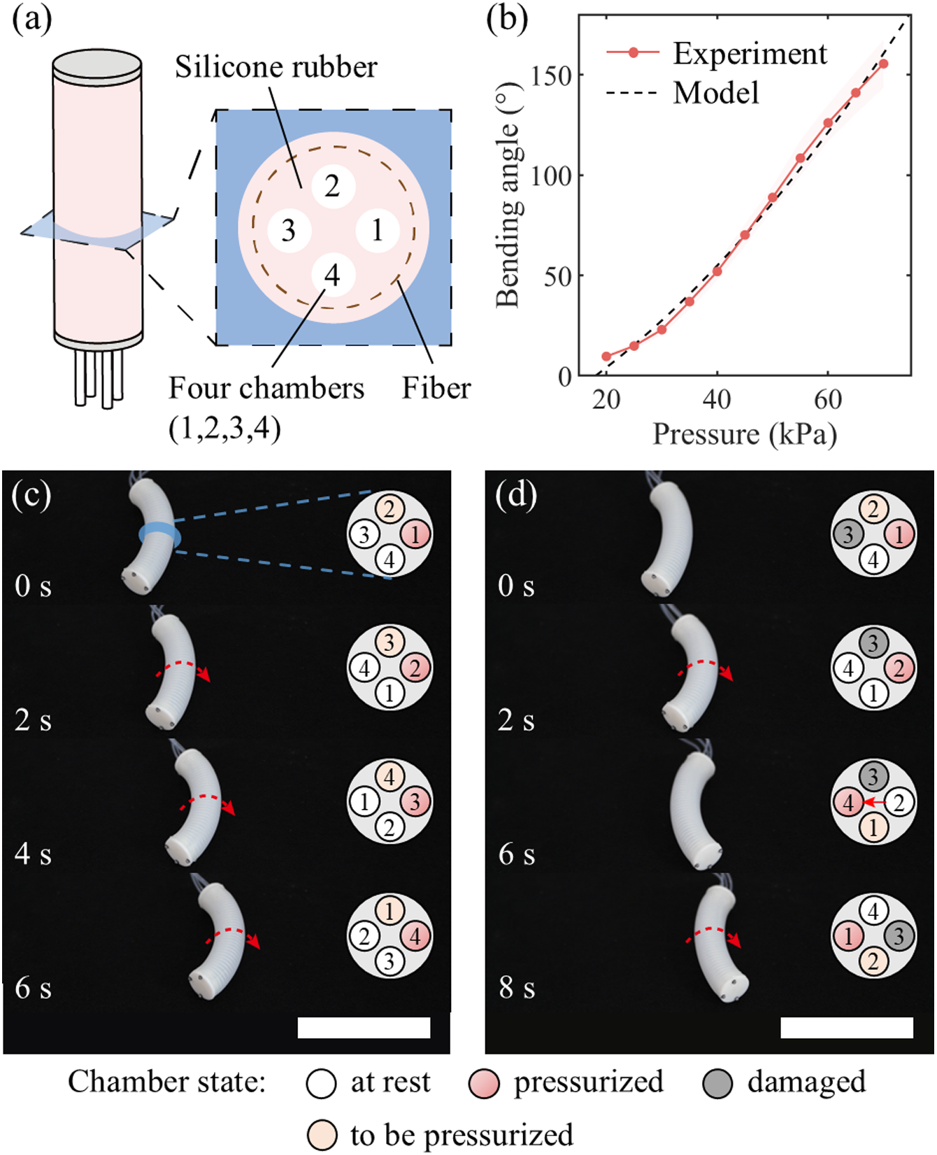 1748704989126003933.png 11.png