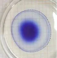 1715044963494028224.jpg 641.jpg