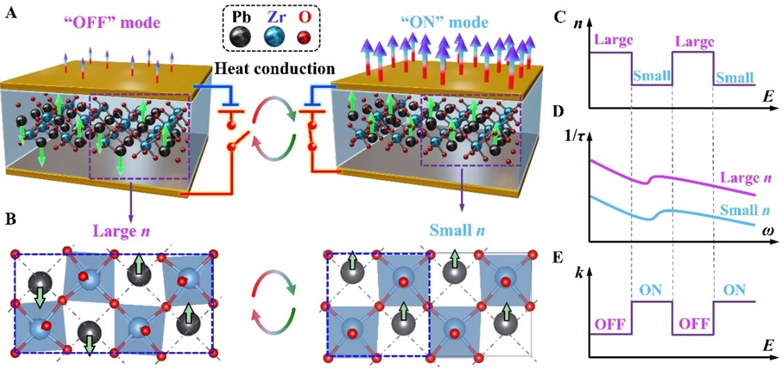 1703467431364024611.jpg 图片1.jpg