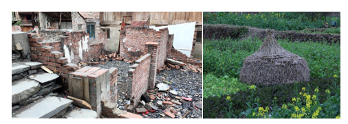 1740637293497093491.png 图片12.png