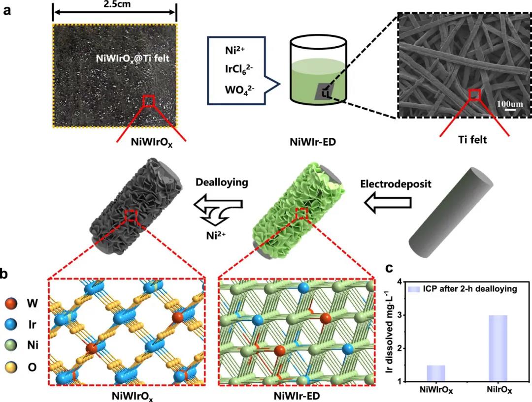 1736160089457073020.jpg 1.jpg