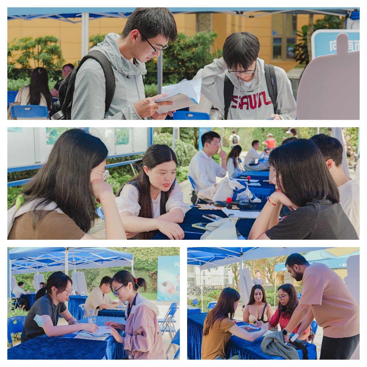 1718154092829092347.jpg 2.jpg